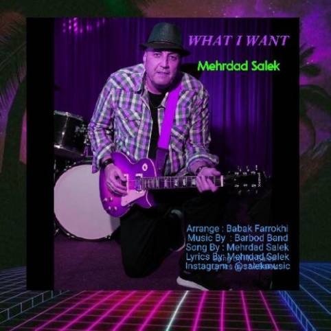 آهنگ What I Want مهرداد سالک آهنگ What I Want مهرداد سالک