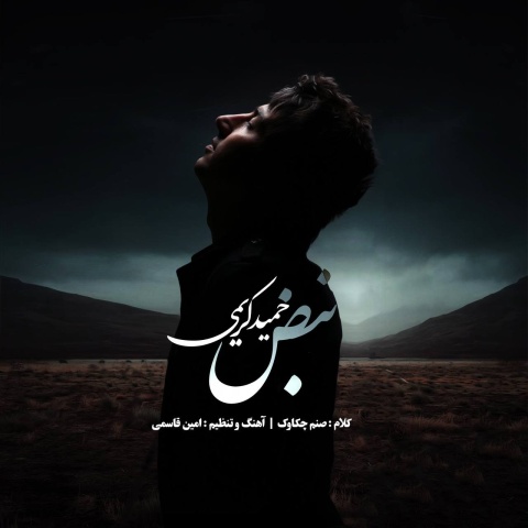 آهنگ نبض حمید کریمی