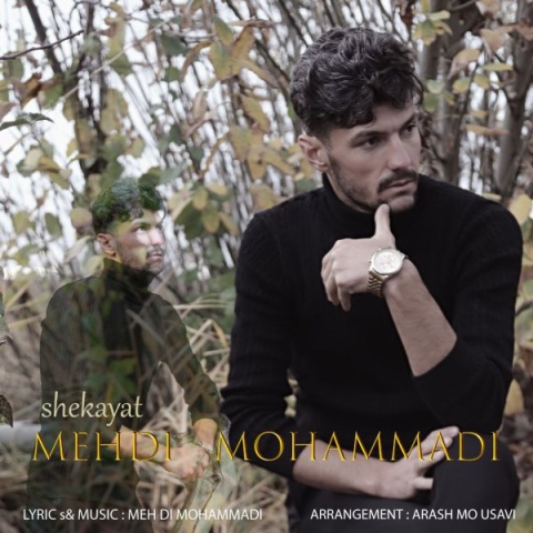 آهنگ شکایت مهدی محمدی