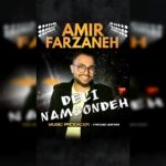 دانلود آهنگ جدید امیر فرزانه دلی نمونده