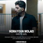 دانلود آهنگ جدید همایون مولایی دست گل