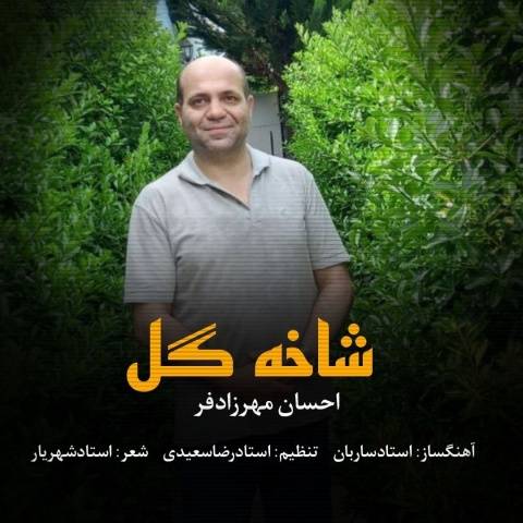 آهنگ شاخه گل احسان مهرزادفر آهنگ شاخه گل احسان مهرزادفر