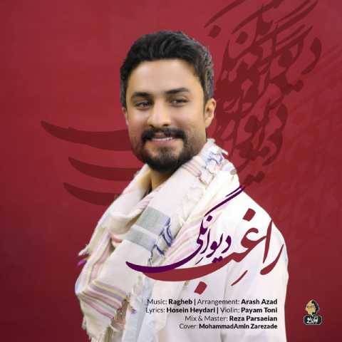آهنگ دیوانگی راغب