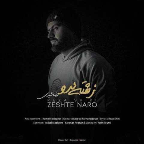 آهنگ زشته نرو رضا شیری
