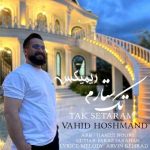 دانلود آهنگ جدید وحید هوشمند تک ستارم (رمیکس)