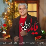 دانلود آهنگ جدید مجتبی دل زنده یلدا
