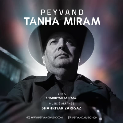آهنگ تنها میرم پیوند آهنگ تنها میرم پیوند