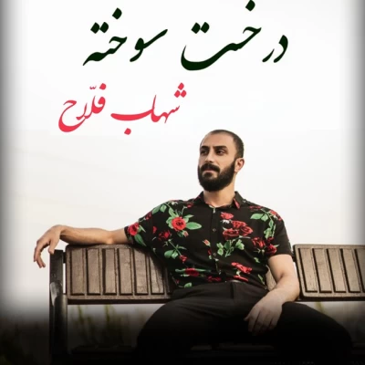 آهنگ درخت سوخته شهاب فلاح