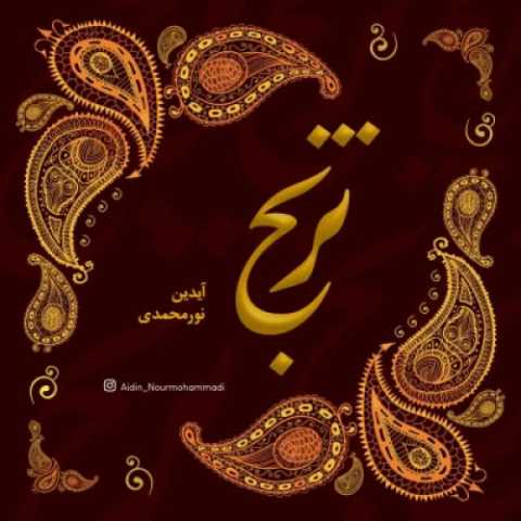 آهنگ ترنج آیدین نورمحمدی