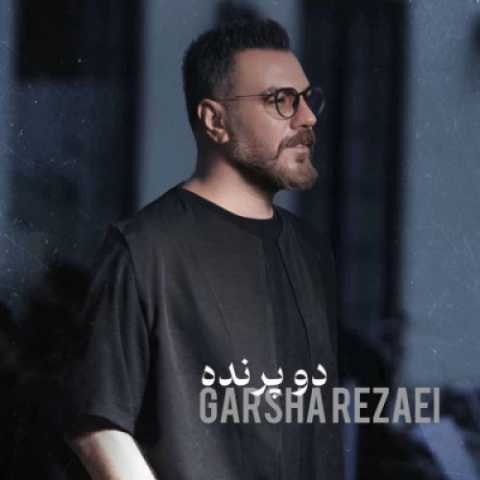 آهنگ دو پرنده گرشا رضایی