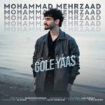 دانلود آهنگ جدید محمد مهرزاد گل یاس