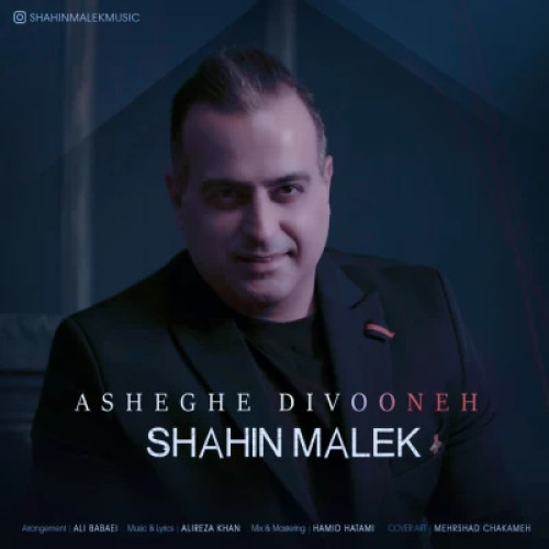 آهنگ عاشق دیوونه شاهین ملک