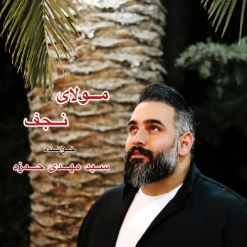 آهنگ مولای نجفی سید مهدی حمزه