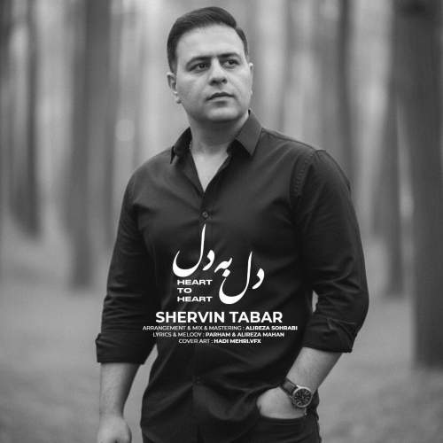 آهنگ دل به دل شروین تبار آهنگ دل به دل شروین تبار