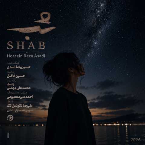 آهنگ شب حسین رضا اسدی